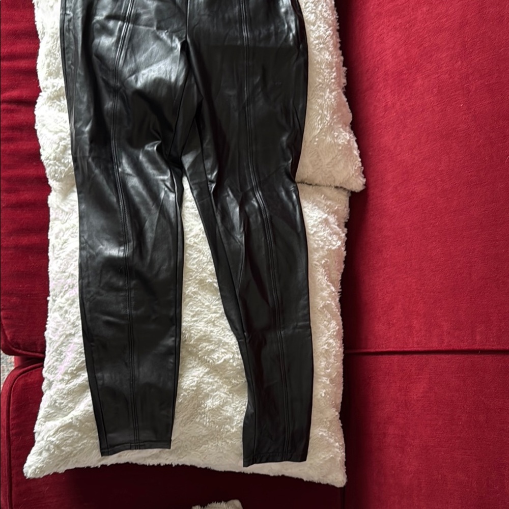 Aritzia babaton OO Black Leather Pants